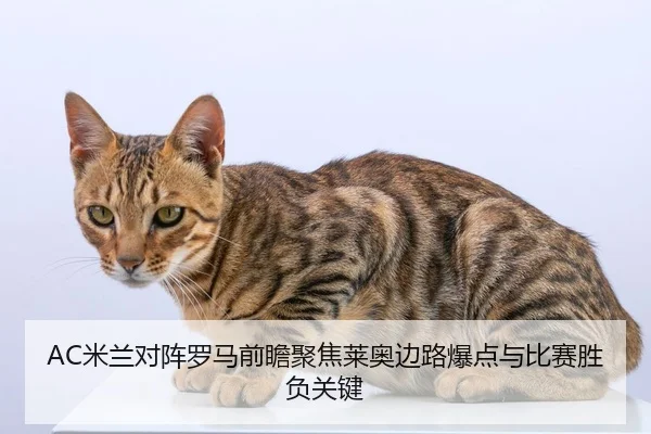 AC米兰对阵罗马前瞻聚焦莱奥边路爆点与比赛胜负关键